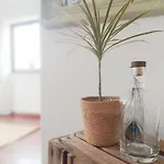 Intuitiva - Relaxation And Mindful * 로리냐