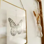 Intuitiva - Relaxation And Mindful *