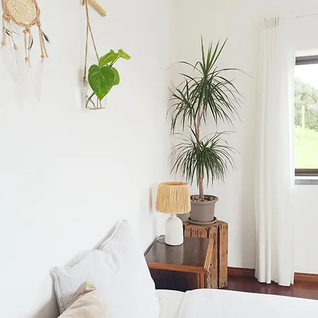 Pansiyon Intuitiva - Relaxation And Mindful