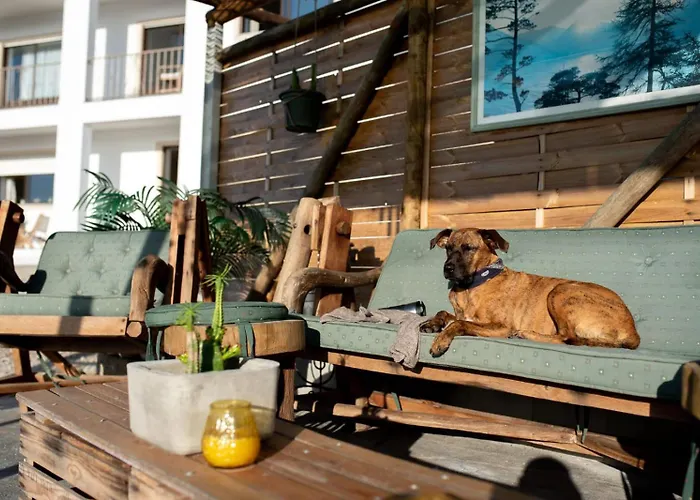 Intuitiva - Relaxation And Mindful Проживание в семье *